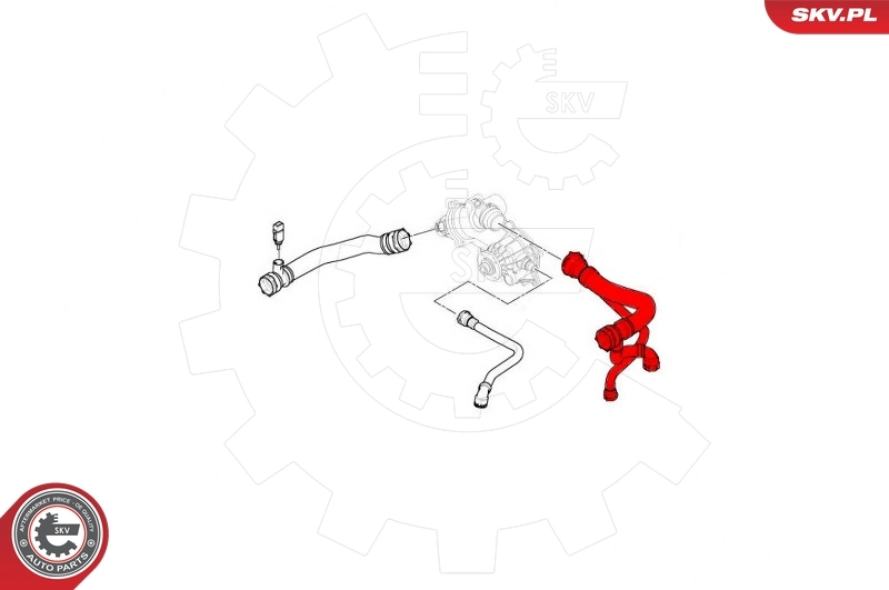 Radiator Hose 24SKV277
