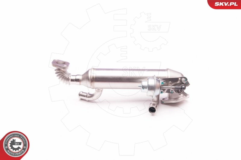 EGR Valve 14SKV119