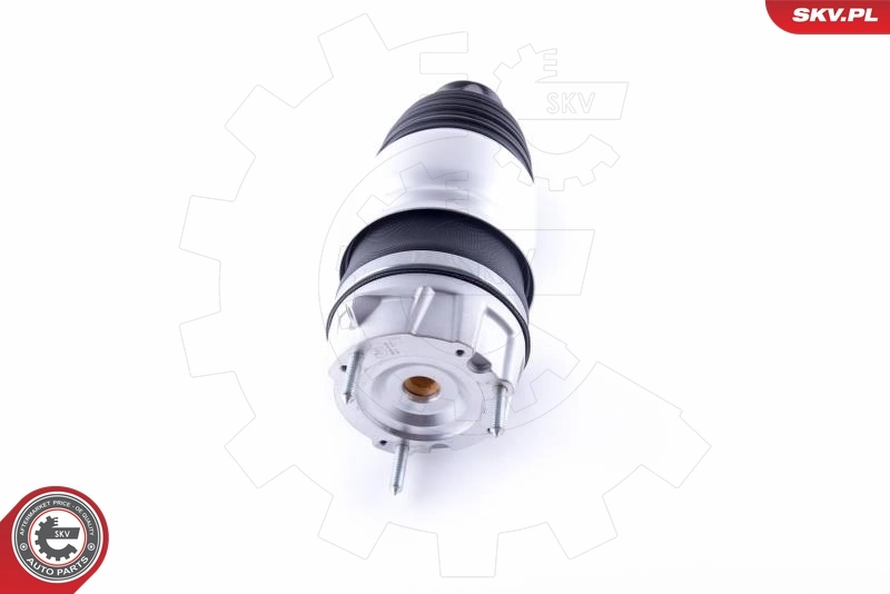 Air Spring, suspension 58SKV048