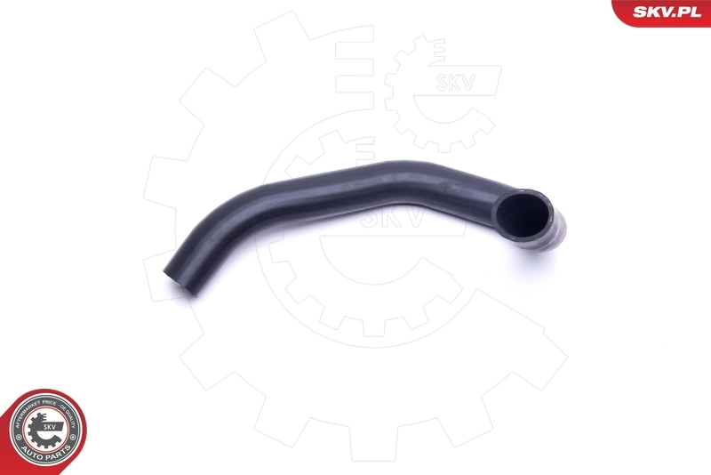 Radiator Hose 43SKV615