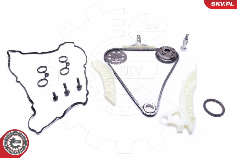 Timing Chain Kit 21SKV112