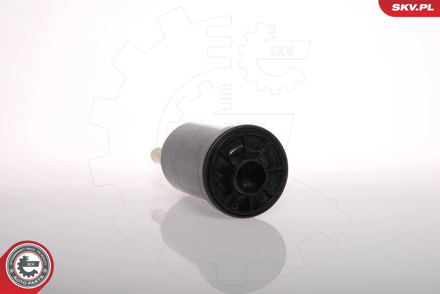 Fuel Pump 02SKV233