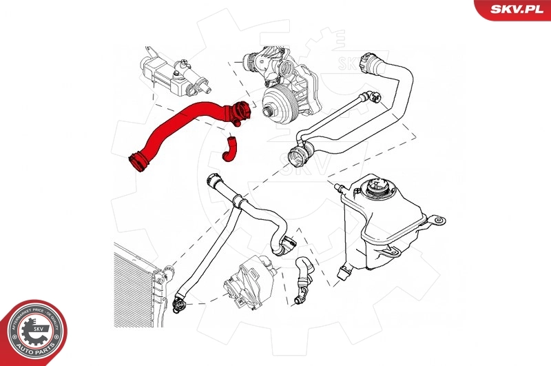 Radiator Hose 43SKV702