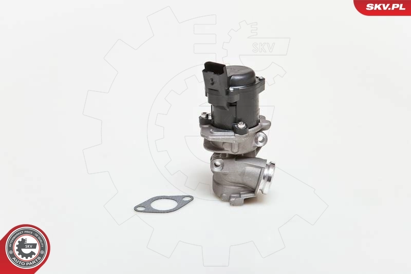 EGR Valve 14SKV027