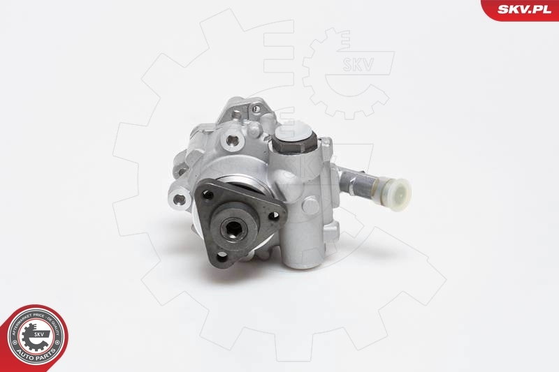 Hydraulic Pump, steering 10SKV129