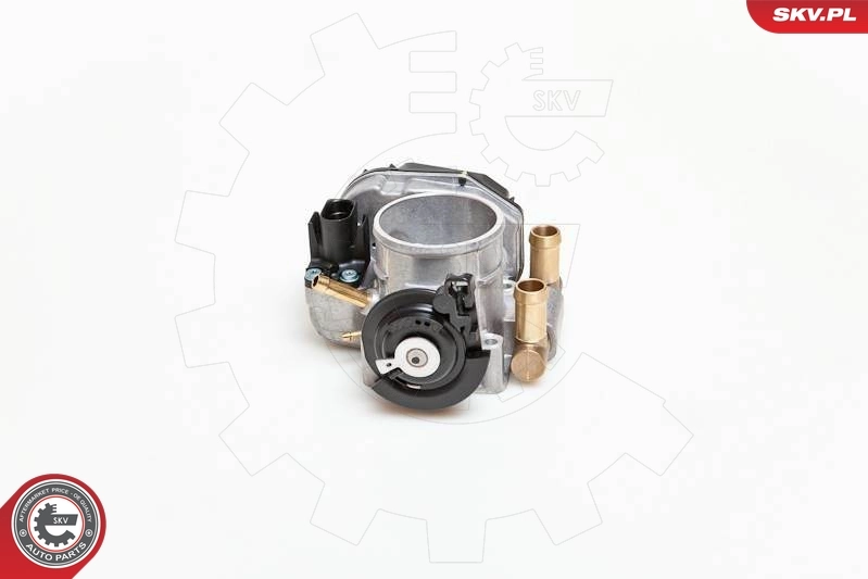 Throttle Body 12SKV004