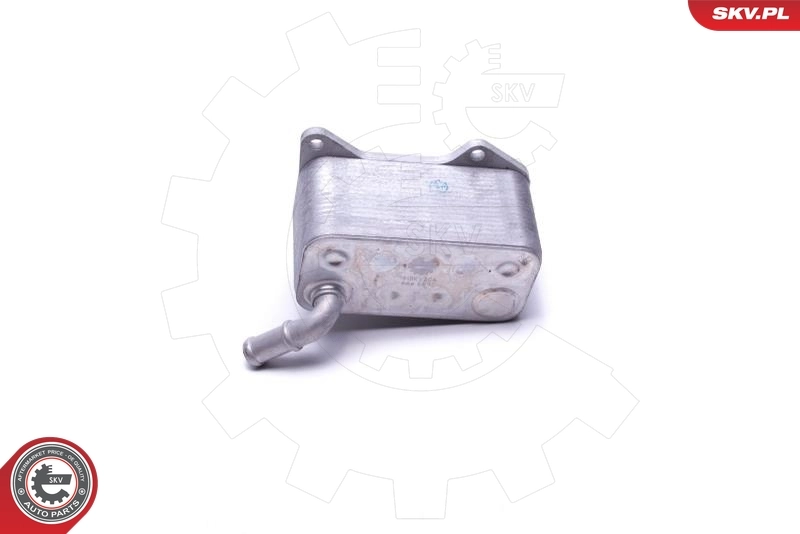Oil Cooler, engine oil 31SKV206