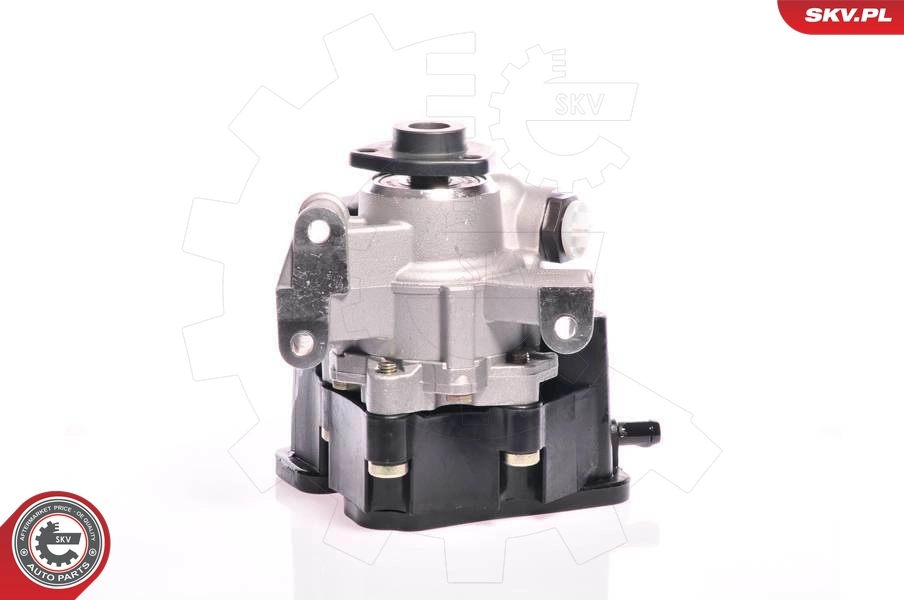 Hydraulic Pump, steering 10SKV162