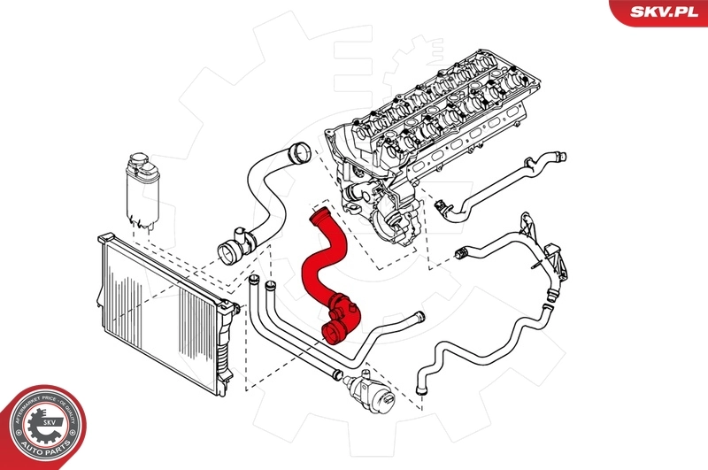 Radiator Hose 24SKV202