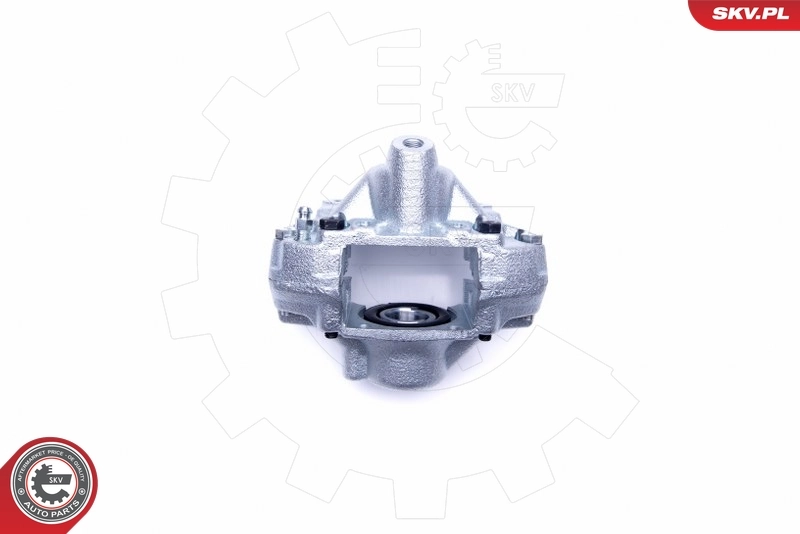 Brake Caliper 45SKV483