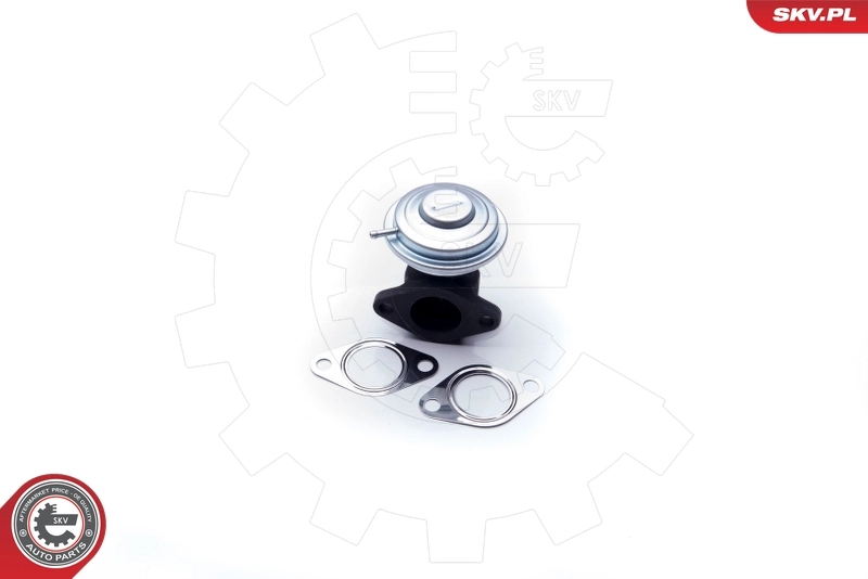 EGR Valve 14SKV183