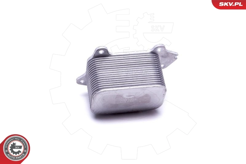 Oil Cooler, engine oil 31SKV230