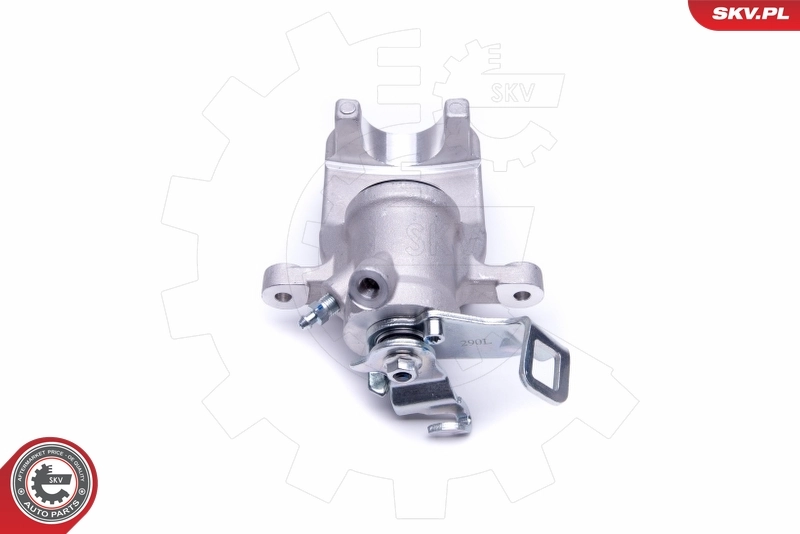 Brake Caliper 50SKV293