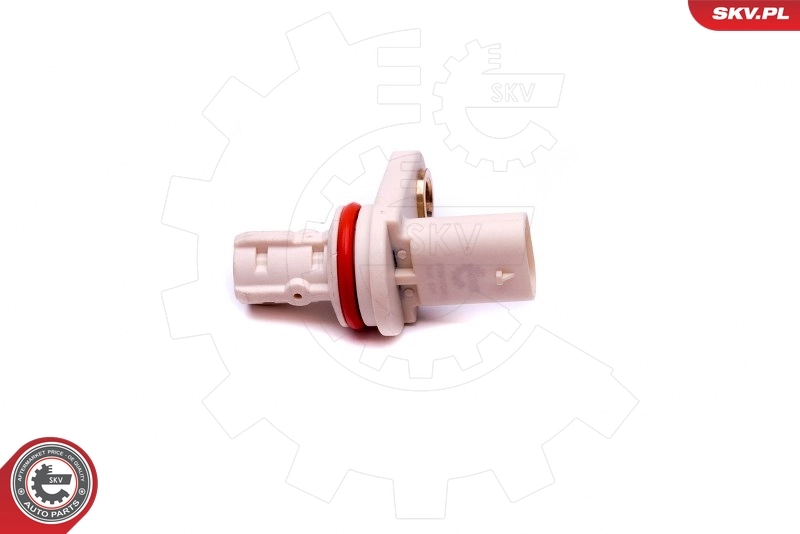 Sensor, camshaft position 17SKV497