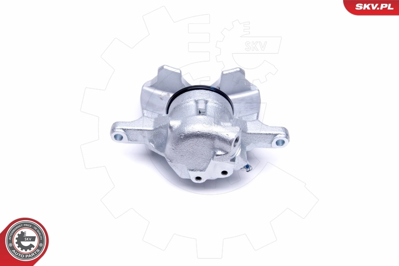 Brake Caliper 50SKV331