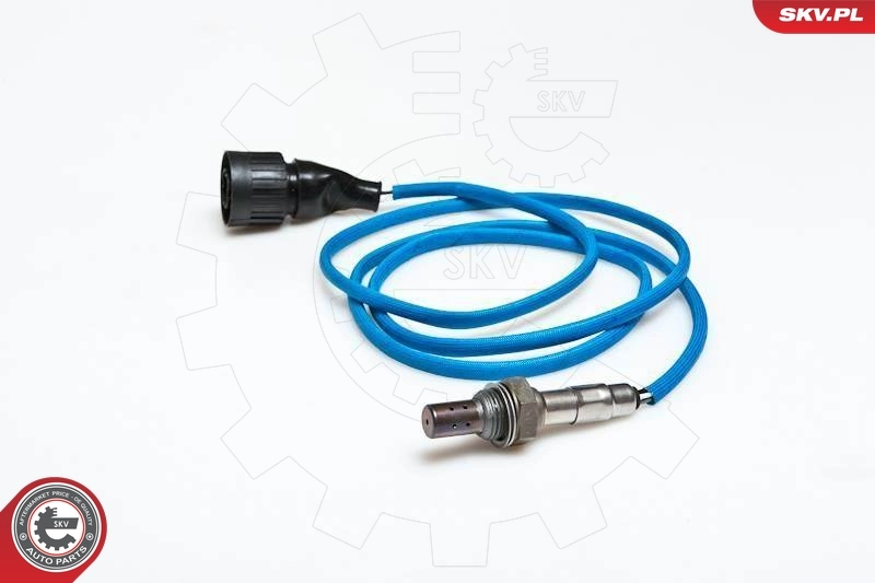Oxygen Sensor 09SKV049