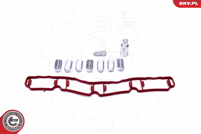 Repair Kit, intake manifold module 49SKV521