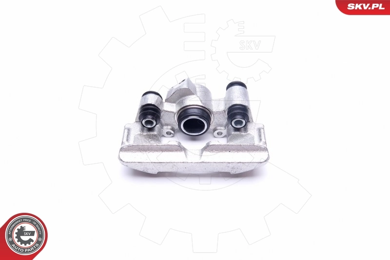 Brake Caliper 42SKV254