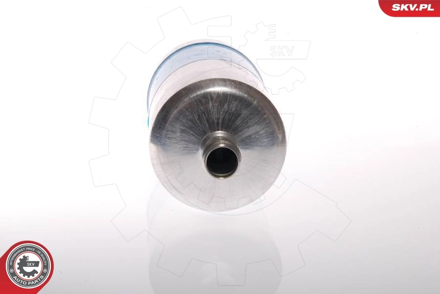 Fuel Pump 02SKV009
