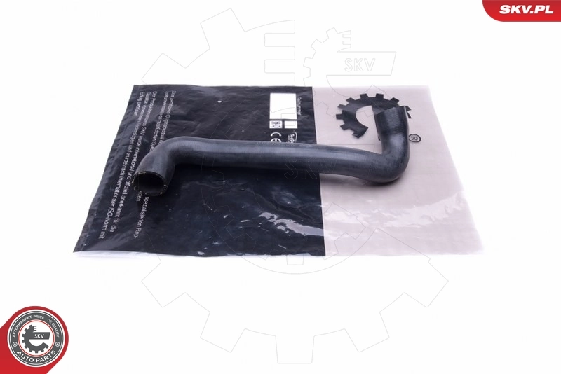 Radiator Hose 43SKV843