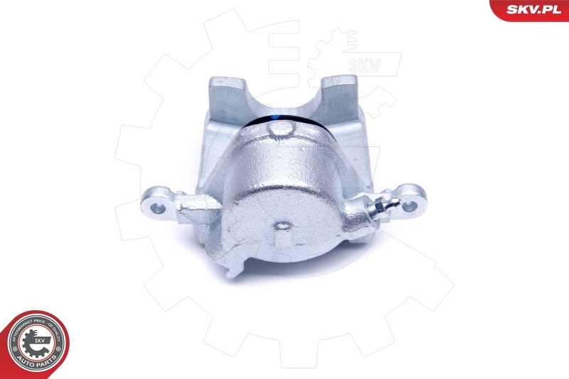 Brake Caliper 50SKV502