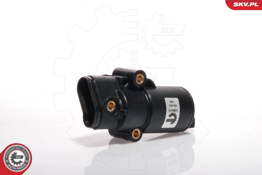 ESEN SKV 08SKV214 Idle Control Valve, air supply