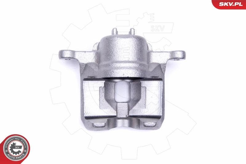 Brake Caliper 50SKV482