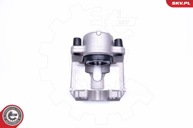 Brake Caliper 23SKV865
