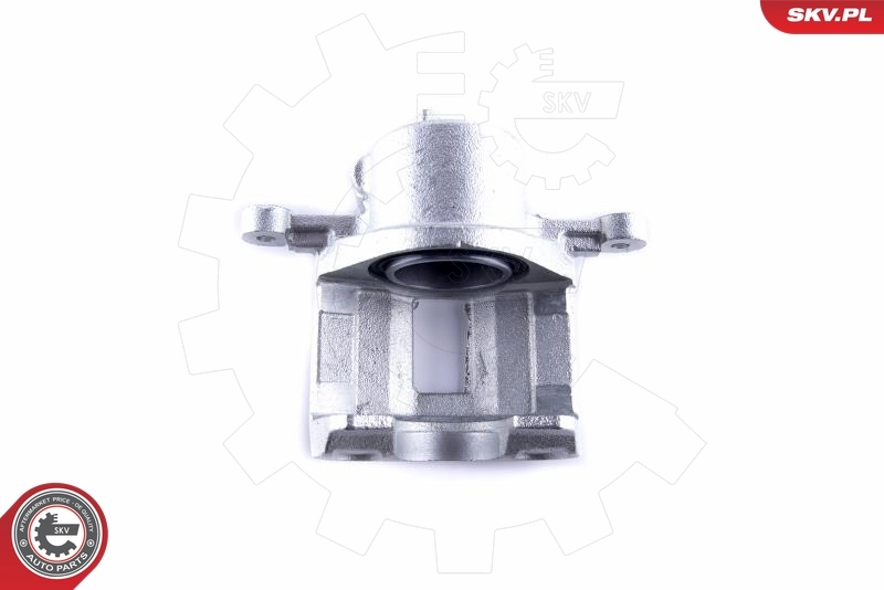 Brake Caliper 55SKV101