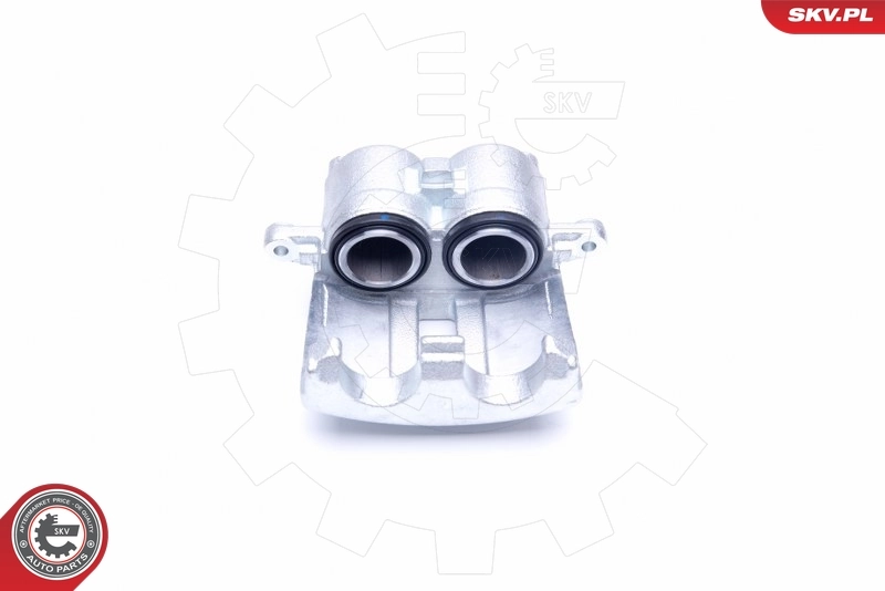 Brake Caliper 42SKV931