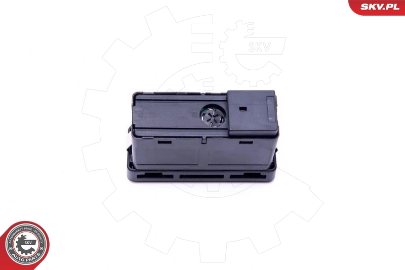 Hazard Warning Light Switch 36SKV717