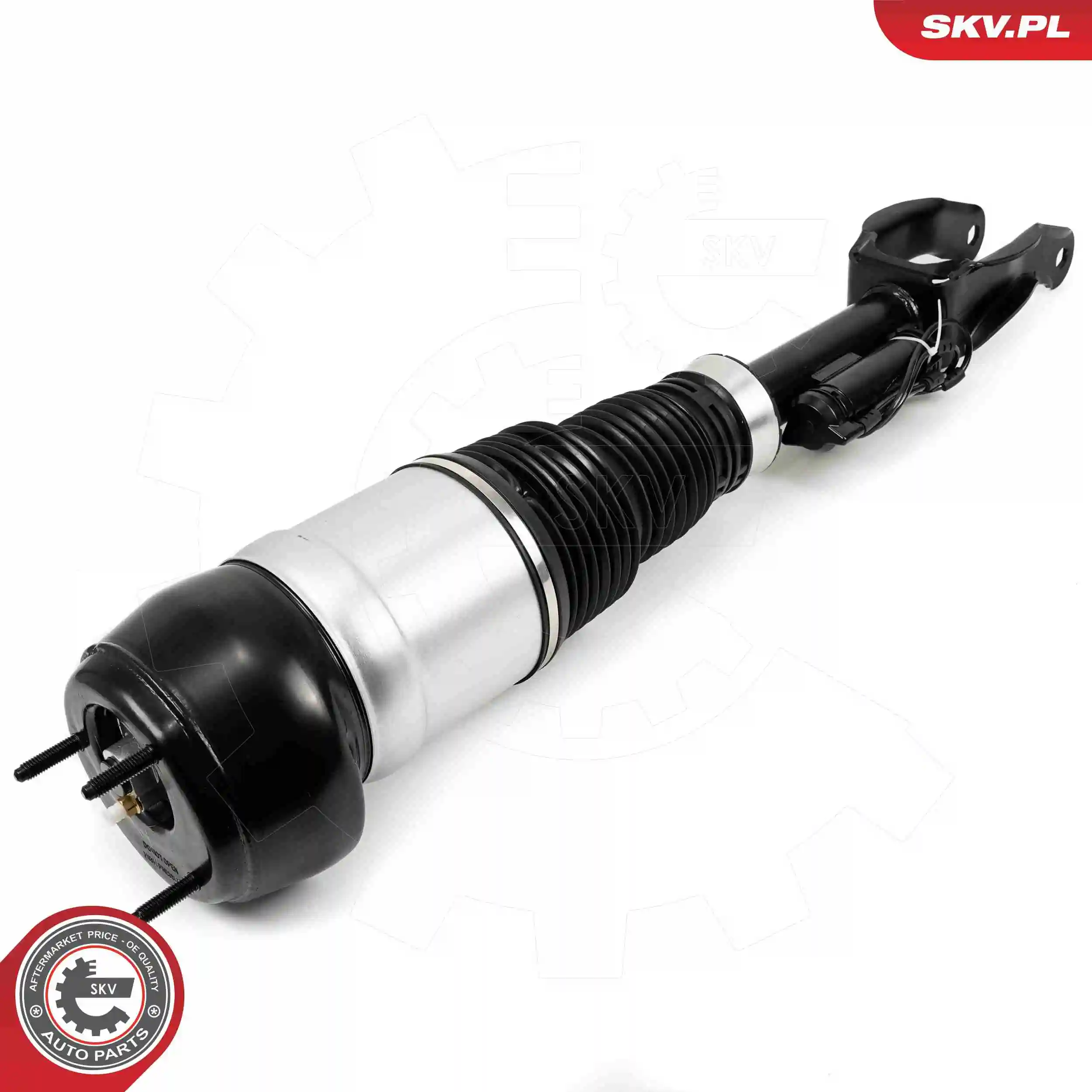 Air Suspension Strut 58SKV717