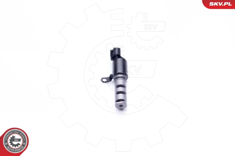 Control Valve, camshaft adjustment 39SKV022