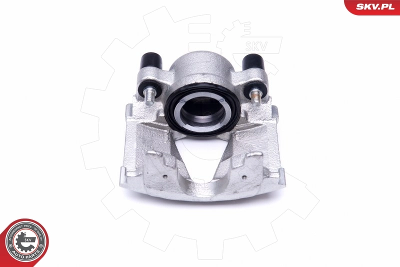 Brake Caliper 46SKV381