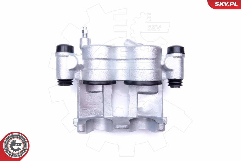 Brake Caliper 42SKV881