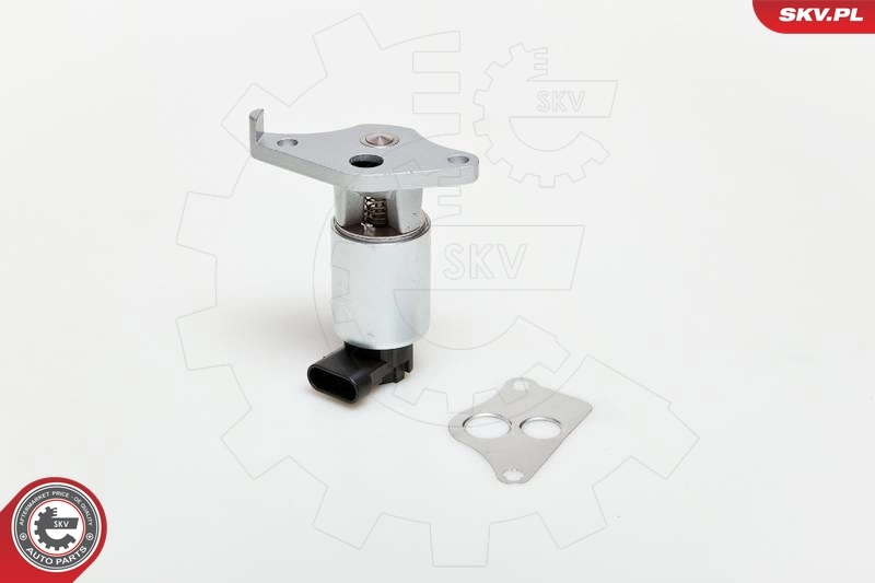EGR Valve 14SKV013