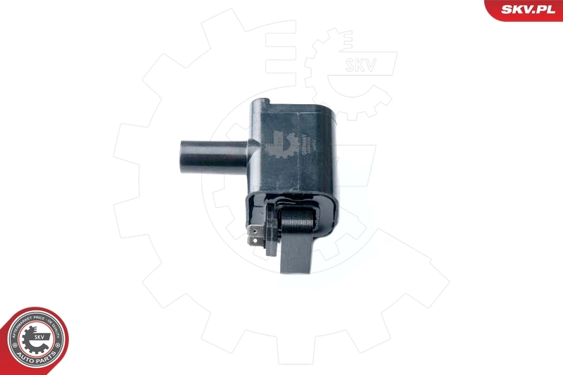 Ignition Coil 03SKV235