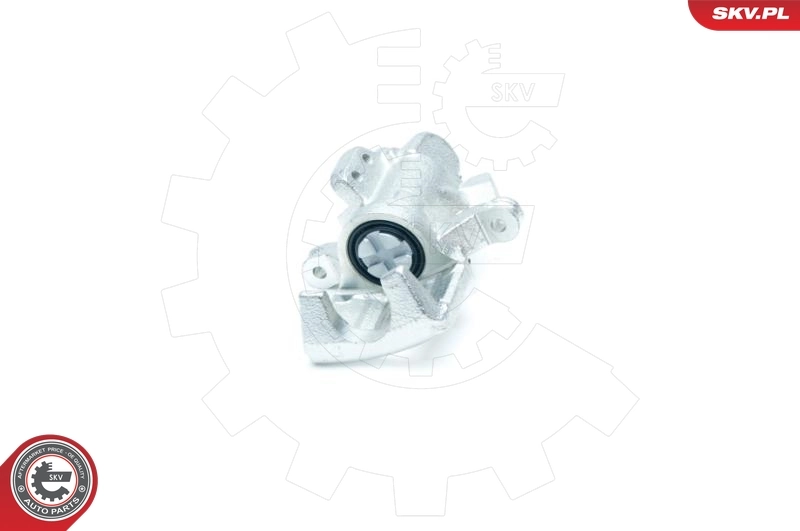 Brake Caliper 23SKV234