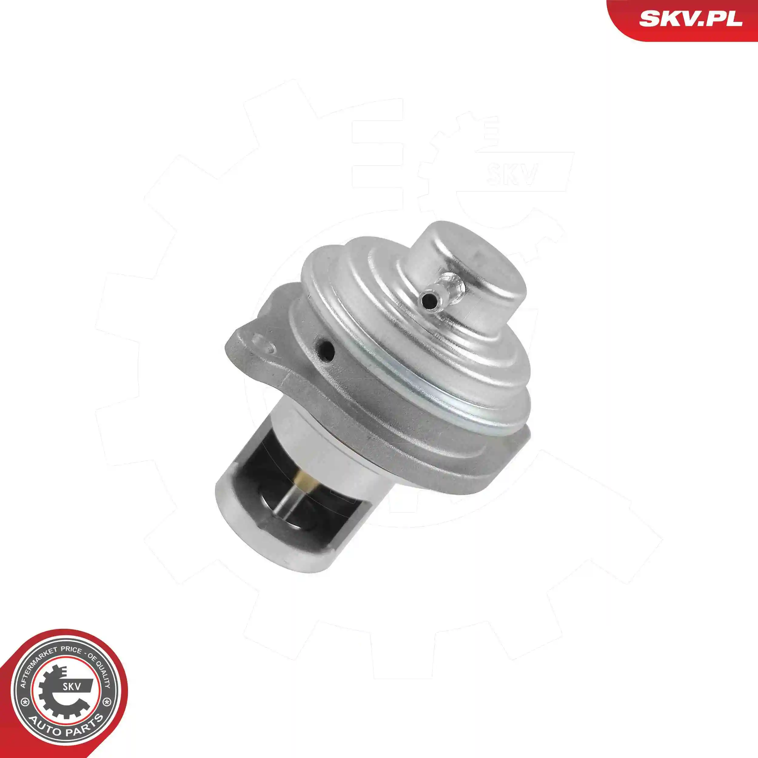 EGR Valve 14SKV326