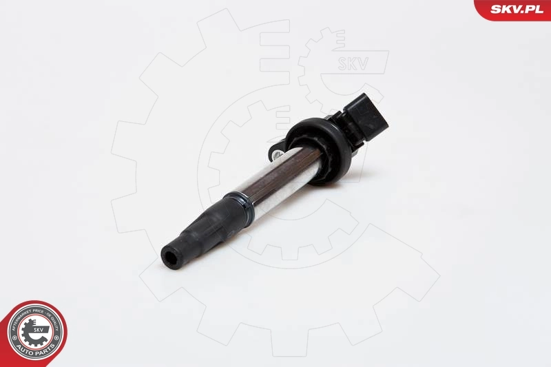 Ignition Coil 03SKV173