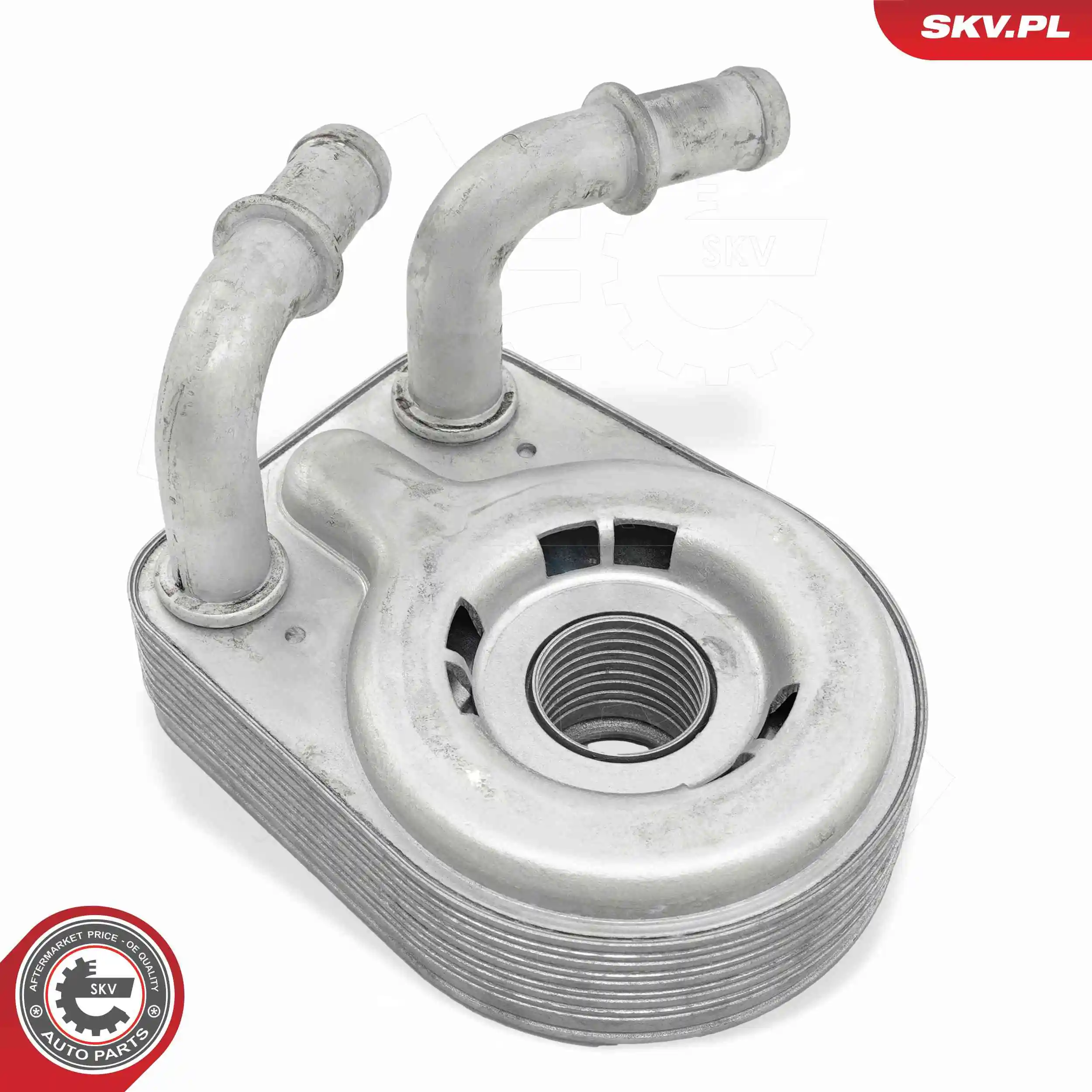 Oil Cooler, engine oil 31SKV310