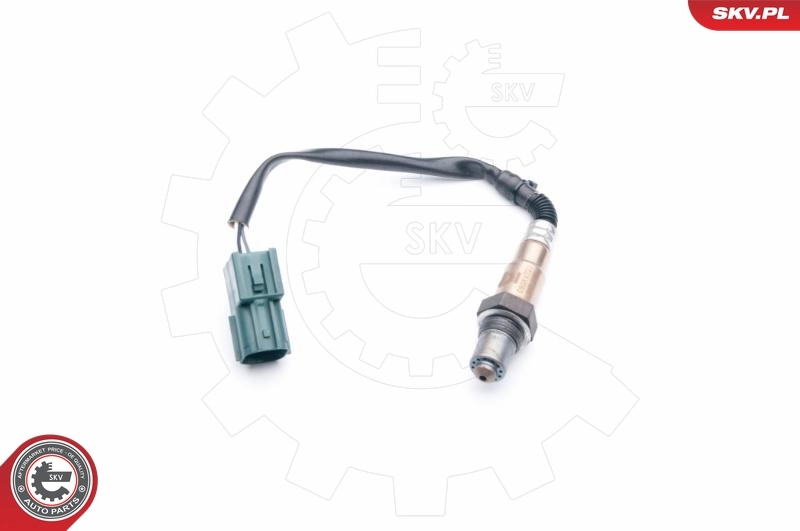 Oxygen Sensor 09SKV701