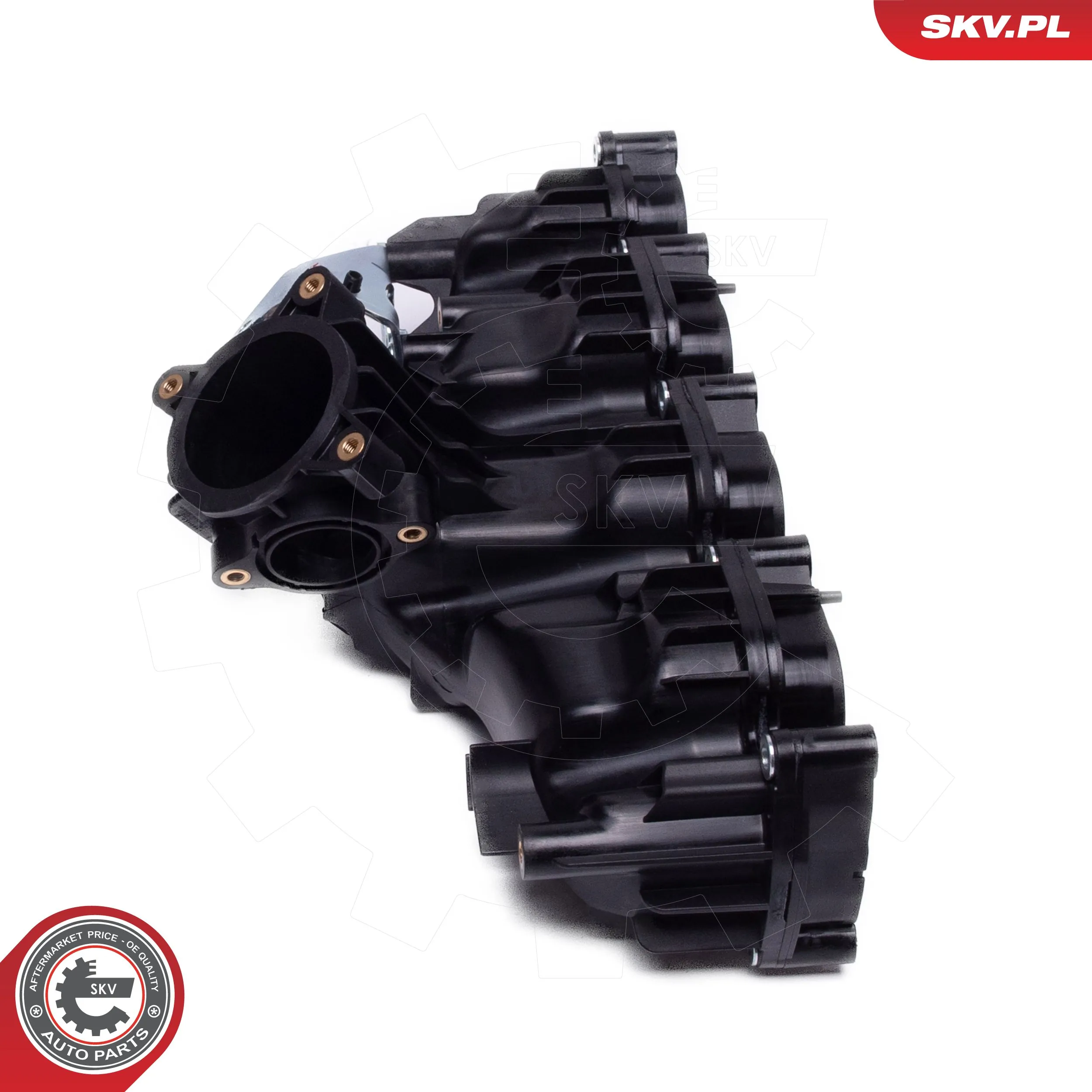 ESEN SKV 49SKV077 Intake Manifold Module