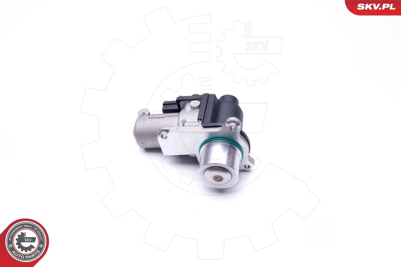 EGR Valve 14SKV170