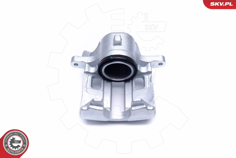 Brake Caliper 50SKV321