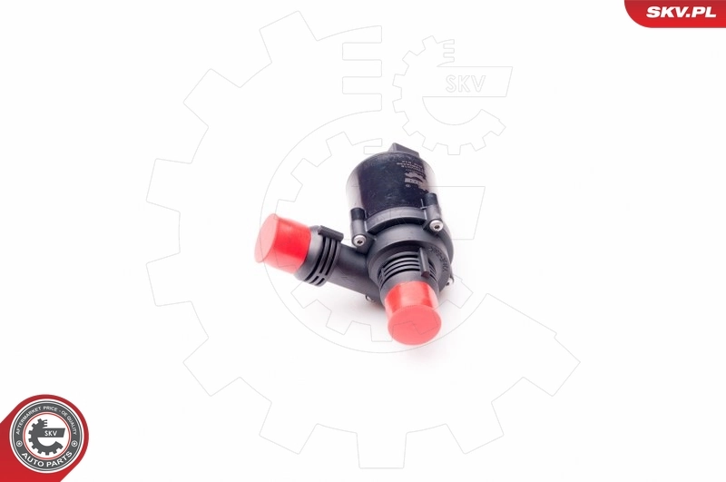 Water Recirculation Pump, parking heater 22SKV015