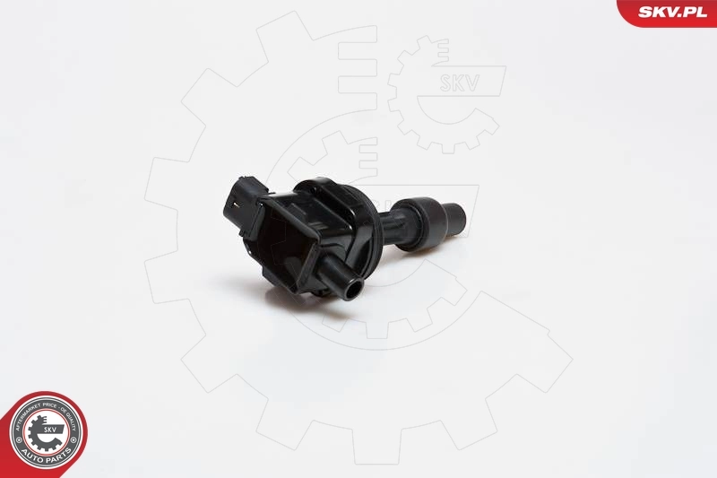 Ignition Coil 03SKV169