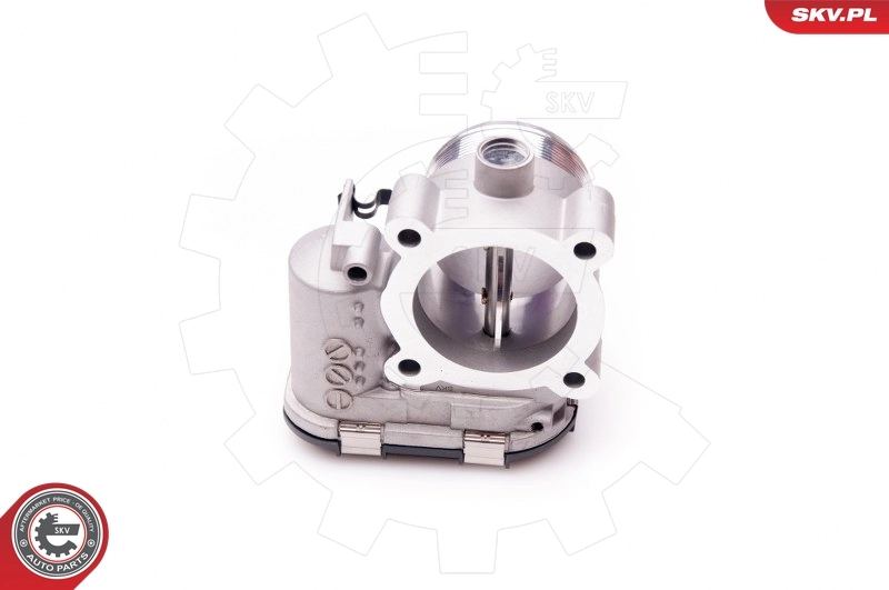 Throttle Body 12SKV054