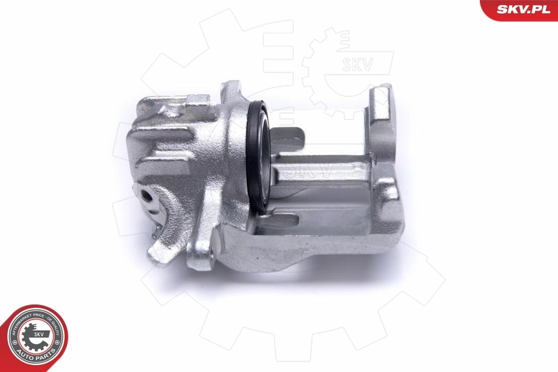 Brake Caliper 50SKV951