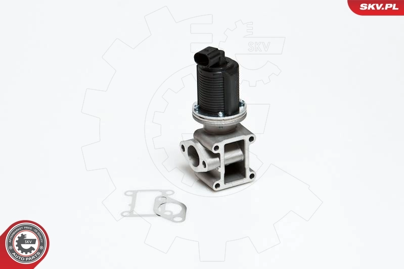 EGR Valve 14SKV012